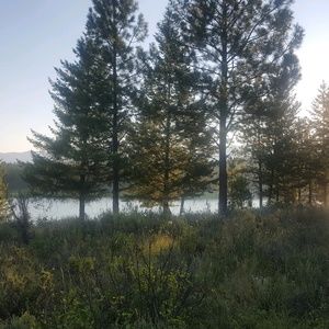 Meet your Posher, Ashleigh